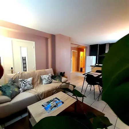 Chaleureux T3 Avec Style Et Confort