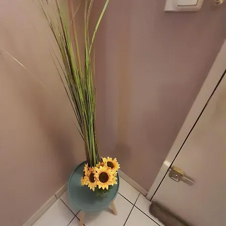 Apartment Chaleureux T3 Avec Style Et Confort