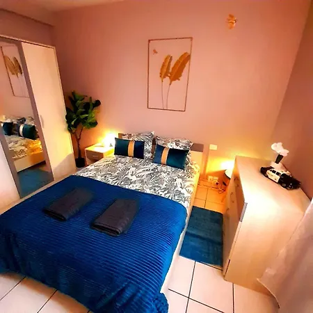 Chaleureux T3 Avec Style Et Confort *