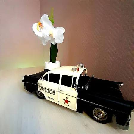 Apartment Chaleureux T3 Avec Style Et Confort